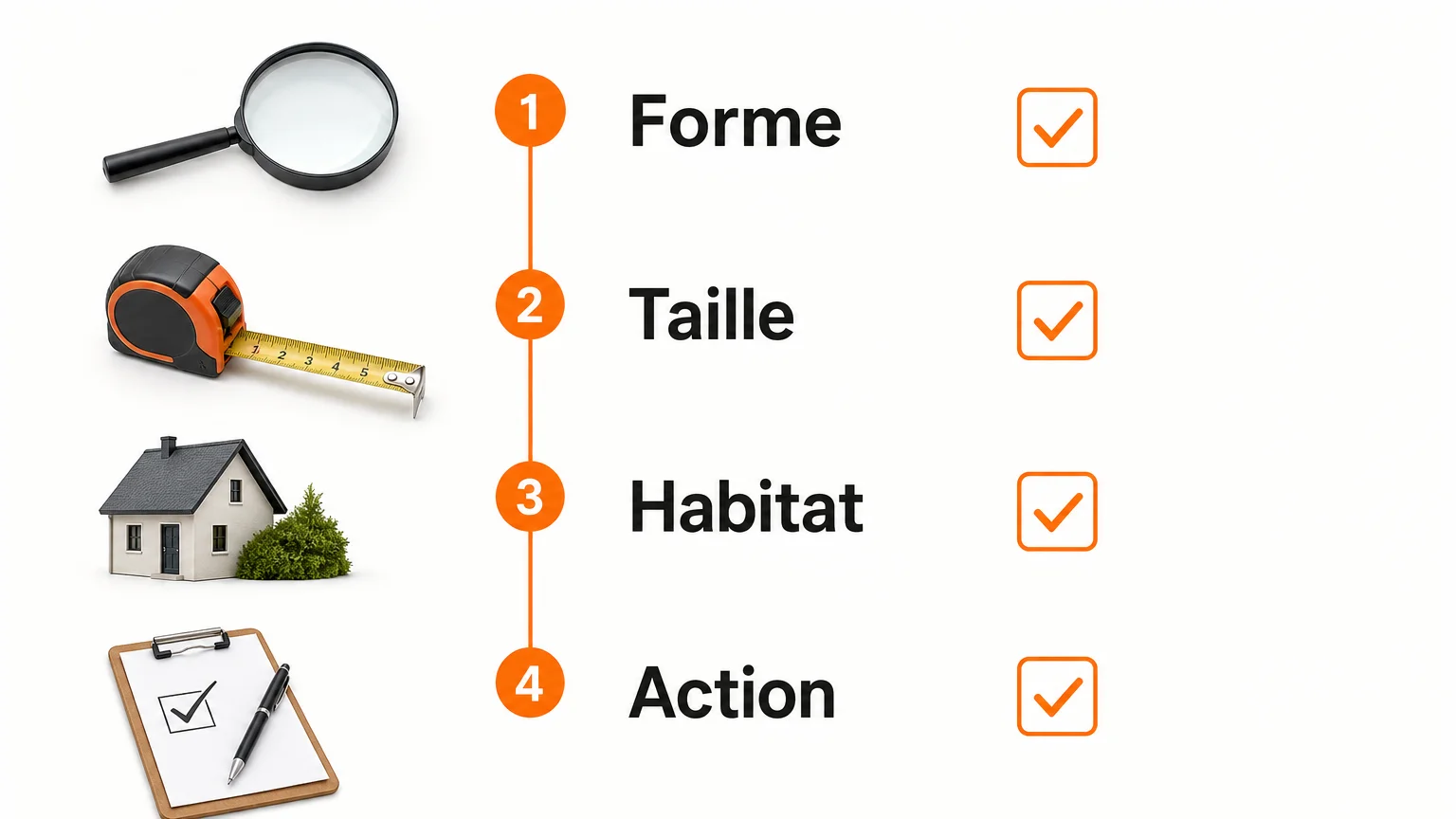 Checklist pour identifier une punaise et choisir la bonne action