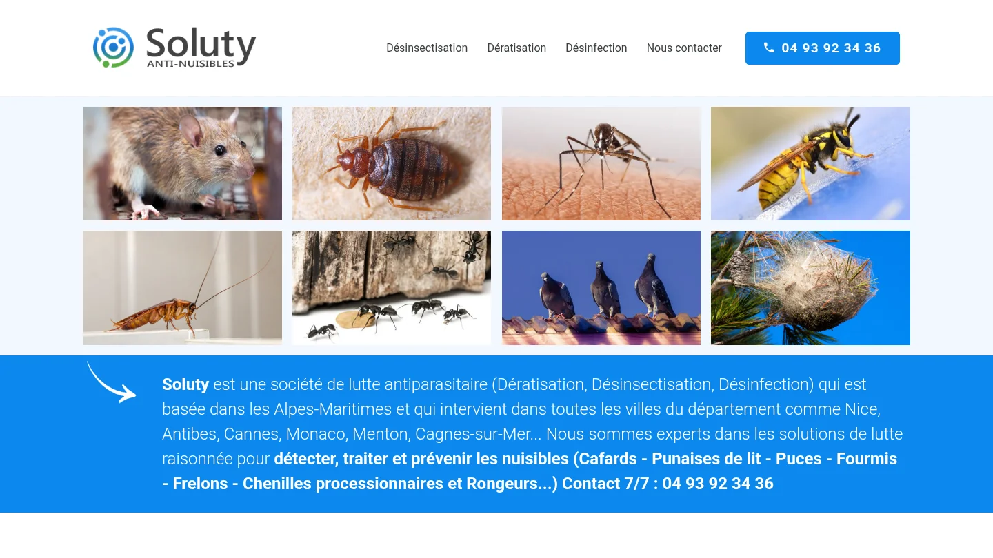 Soluty