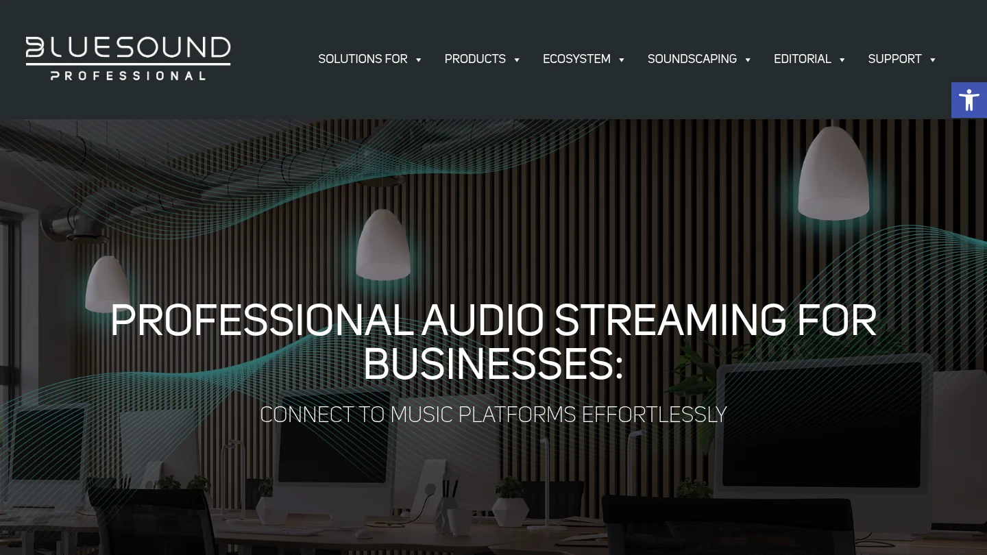 Bluesound Professional