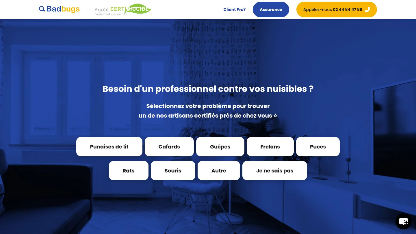 badbugs.fr