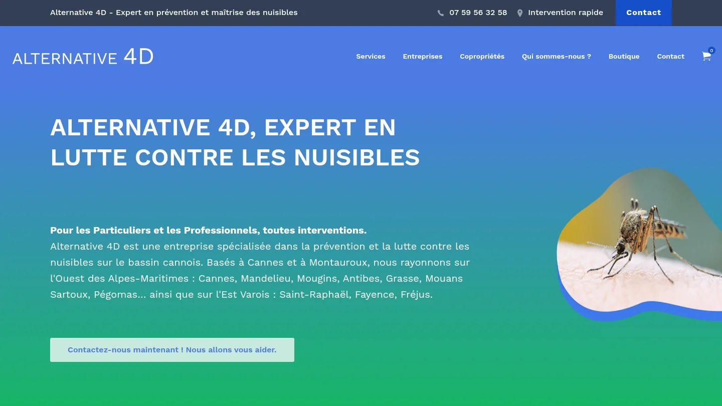 Alternative 4D
